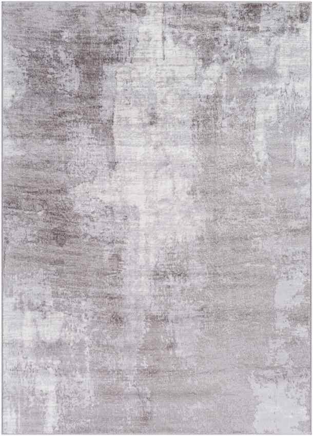 DOLE Abstract Rug I Living Room, Bedroom, Dining, Lounge I Modern Marble Rug, Soft Luxurious Area Rug, Short Pile, Easy Care I Grey