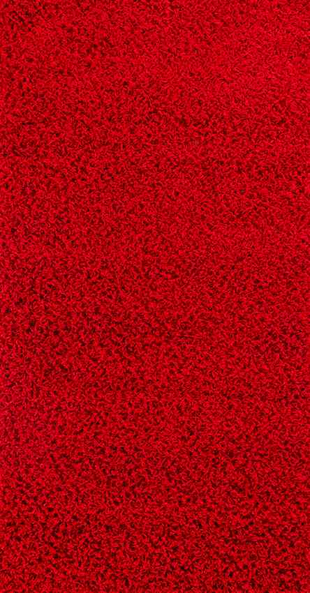 TORRIS Shaggy Rug I Living Room, Bedroom, Hallway I Modern Boho Area Rug, Soft Fluffy Rug, Plush Pile, Large Thick Rug, Easy Care I Red