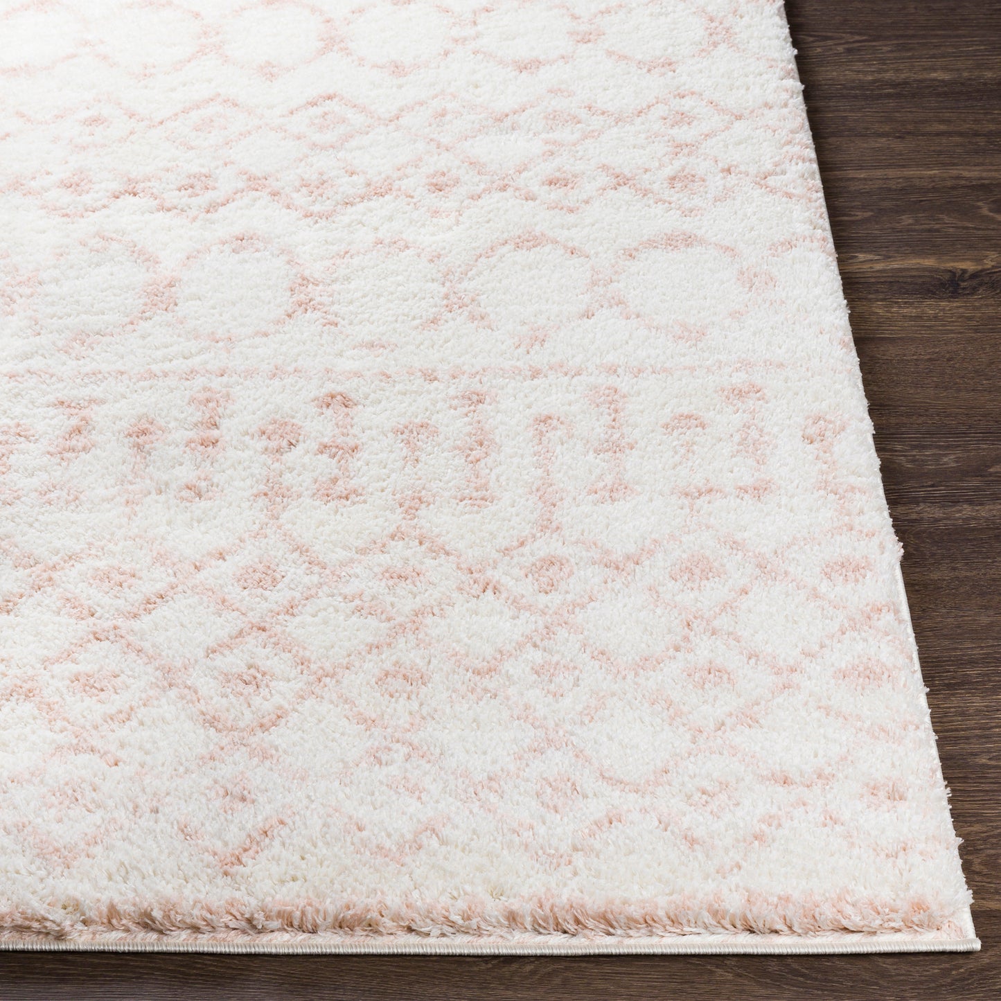 HUIZEN Shaggy Rug I Living Room, Bedroom, Hallway I Modern Boho Area Rug, Soft Fluffy Rug, Plush Pile, Large Thick Rug I Ivory, Pink