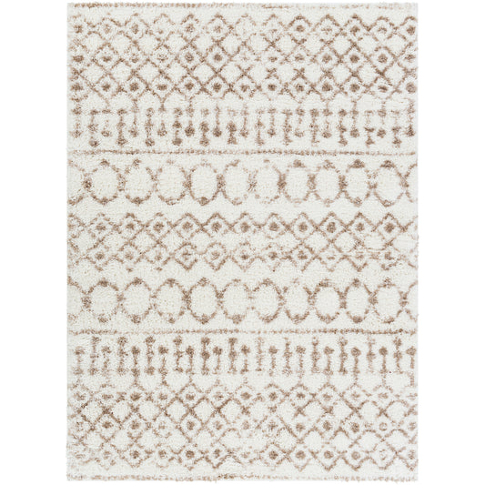 HUIZEN Shaggy Modern Boho Soft Fluffy Thick Plush Pile Beige Area Rug