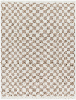 EMMITT Shaggy Modern Boho Soft Fluffy Thick Plush Pile Light Brown Checkered Area Rug