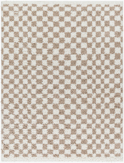 EMMITT Shaggy Modern Boho Soft Fluffy Thick Plush Pile Light Brown Checkered Area Rug