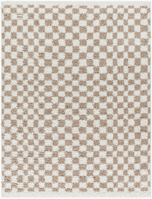 EMMITT Shaggy Modern Boho Soft Fluffy Thick Plush Pile Light Brown Checkered Area Rug