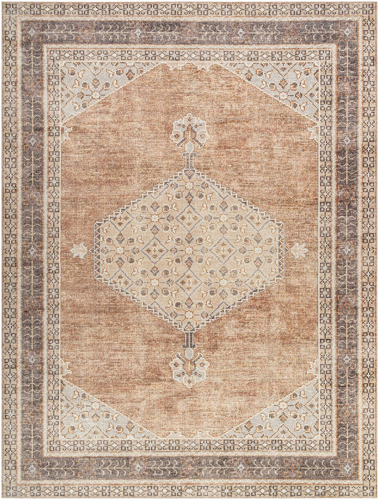 JAMESA Becki Owens x Surya Vintage Traditional Oriental Boho Cinnamon Area Rug