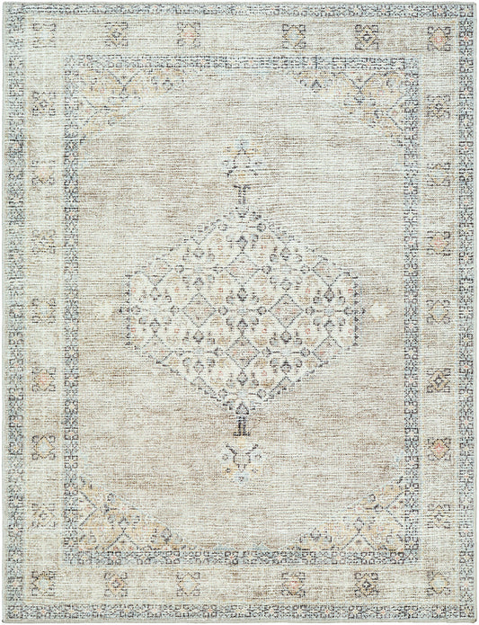 JAMESA Becki Owens x Surya Vintage Traditional Oriental Boho Brown Cream Area Rug