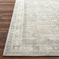 JAMESA Vintage Rug I Living Room, Bedroom, Dining I Traditional Oriental Boho Rug, Soft Area Rug, Short Pile, Easy Care I Grey, Brown