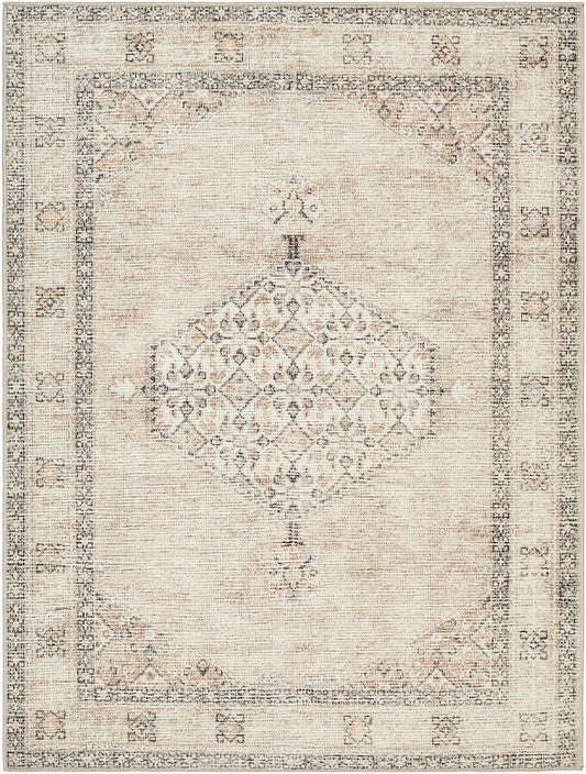 JAMESA Becki Owens x Surya Vintage Traditional Oriental Boho Blush Beige Area Rug