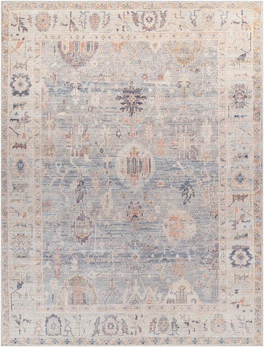 ERASMO Becki Owens x Surya Vintage Traditional Oriental Boho Grey Pale Blue Area Rug