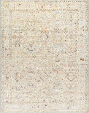 CRYSTALL Becki Owens x Surya Vintage Traditional Oriental Boho Medium Brown Area Rug