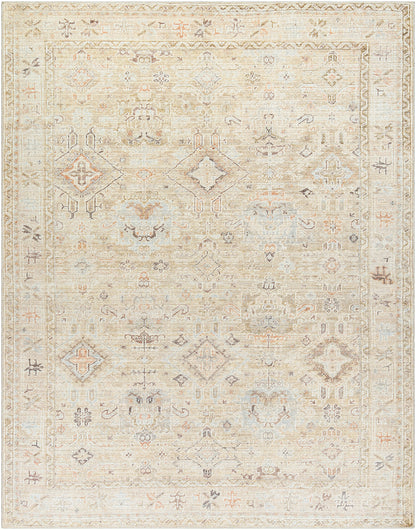 CRYSTALL Becki Owens x Surya Vintage Traditional Oriental Boho Medium Brown Area Rug