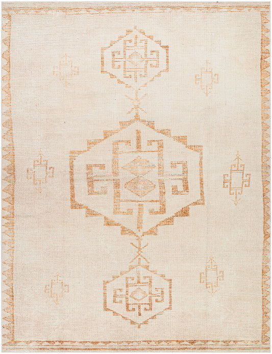 AMYA Becki Owens x Surya Modern Scandi Boho Apricot Beige Area Rug