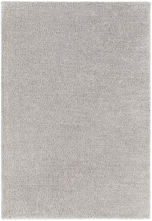 BOXHOLM Shaggy Rug I Living Room, Bedroom I Modern Boho Area Rug, Soft Fluffy Rug, Plush Pile, Large Thick Rug, Easy Care I Light Grey