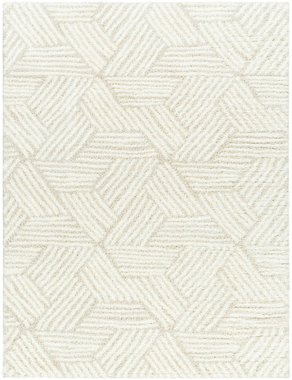 BROOKE Shaggy Rug I Living Room, Bedroom I Modern Boho Area Rug, Soft Fluffy Rug, Plush Pile, Large Thick Rug, Easy Care I Ivory, Beige