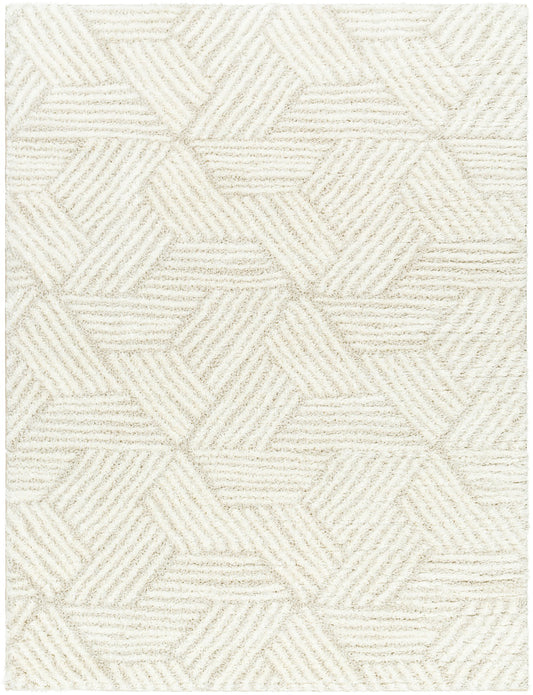 BROOKE Shaggy Modern Boho Soft Fluffy Thick Plush Pile Beige Area Rug