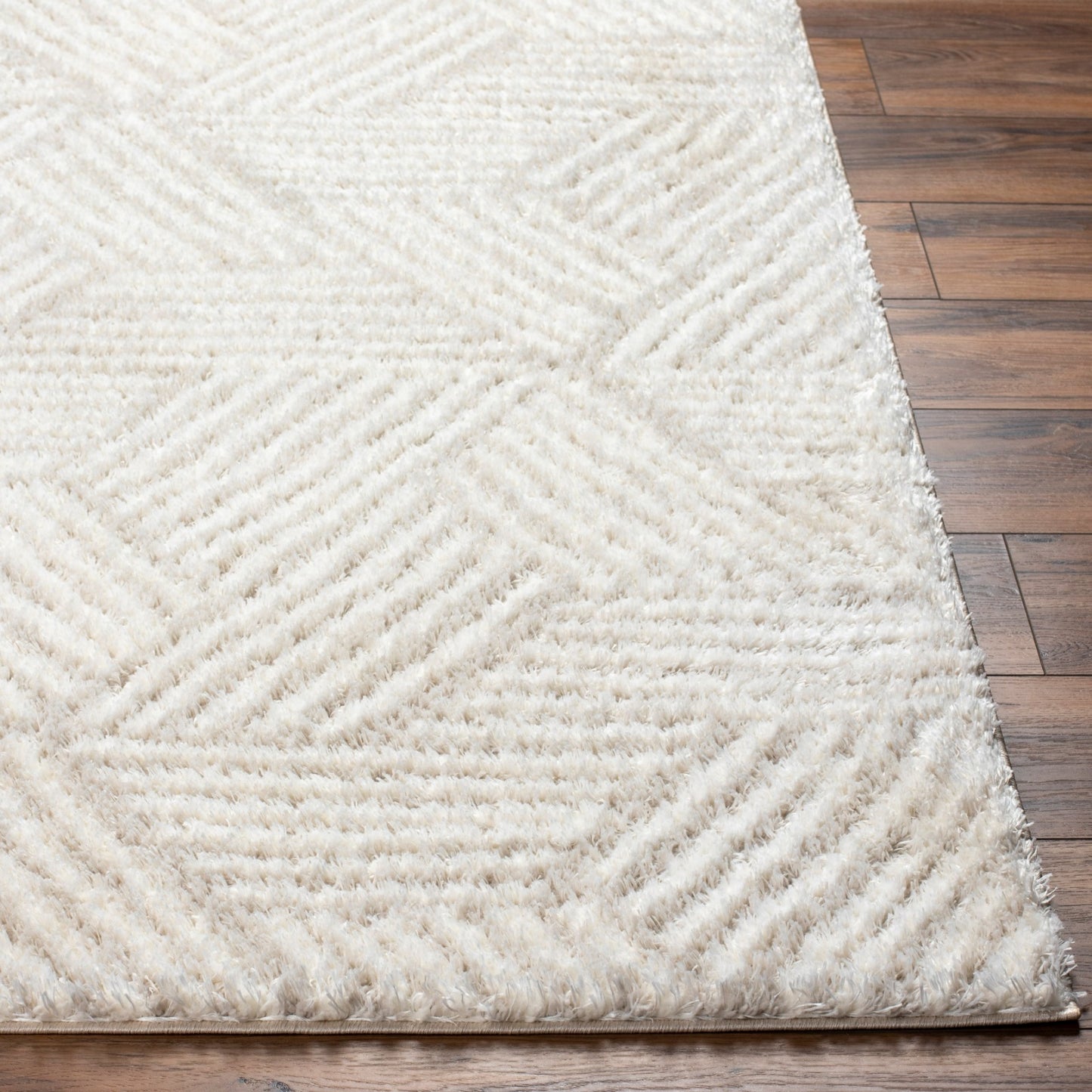 BROOKE Shaggy Rug I Living Room, Bedroom I Modern Boho Area Rug, Soft Fluffy Rug, Plush Pile, Large Thick Rug, Easy Care I Ivory, Beige