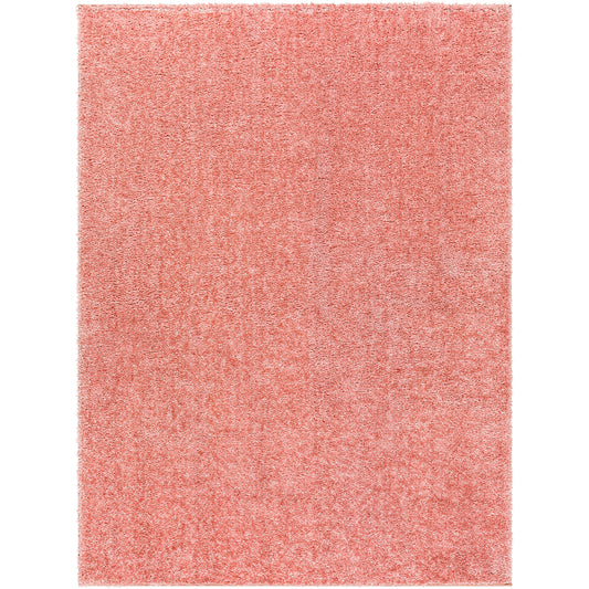 BOXHOLM Shaggy Modern Boho Soft Fluffy Thick Plush Pile Coral Area Rug