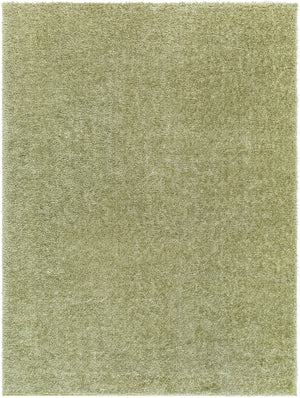 BOXHOLM Shaggy Rug I Living Room, Bedroom I Modern Boho Area Rug, Soft Fluffy Rug, Plush Pile, Large Thick Rug, Easy Care I Green