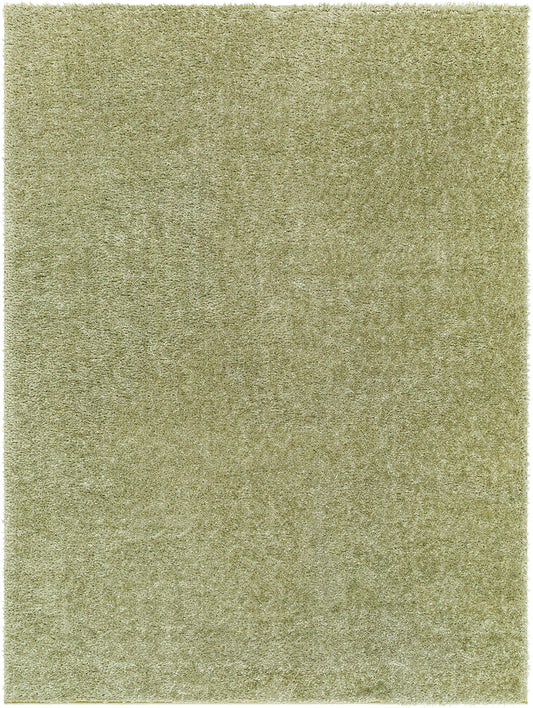 BOXHOLM Shaggy Modern Boho Soft Fluffy Thick Plush Pile Moss Green Area Rug