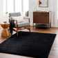 BOXHOLM Shaggy Rug I Living Room, Bedroom I Modern Boho Area Rug, Soft Fluffy Rug, Plush Pile, Large Thick Rug, Easy Care I Black