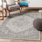 CHARTRES Vintage Traditional Oriental Boho Grey White Area Rug