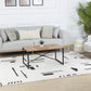 KEYAUNA Scandi Rug I Living Room, Bedroom, Dining I Modern Boho Area Rug, Soft Luxurious Rug, Short Pile, Easy Care I Ivory, Black