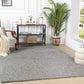 TORRIS Shaggy Rug I Living Room, Bedroom, Hallway I Modern Boho Area Rug, Soft Fluffy Rug, Plush Pile, Large Thick Rug, Easy Care I Grey