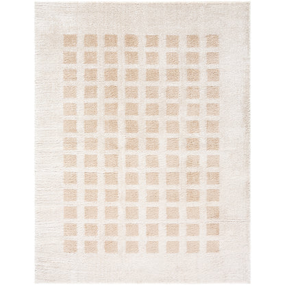 PRUNELLE Machine Washable Shaggy Boho Beige Area Rug