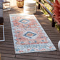 BUFFALO GROVE In- & Outdoor Boho Burnt Orange Rug