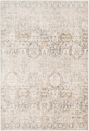 GEELBROEK Vintage Traditional Oriental Boho Tan Ivory Area Rug