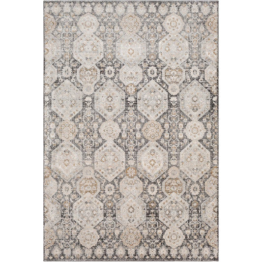 GEELBROEK Vintage Traditional Oriental Boho Black Area Rug