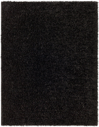 CHARON Shaggy Rug I Living Room, Bedroom I Modern Boho Area Rug, Soft Fluffy Rug, Plush Pile, Large Thick Rug, Easy Care I Black