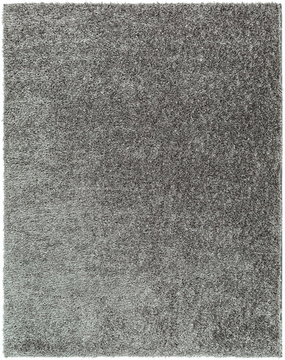 CHARON Shaggy Rug I Living Room, Bedroom I Modern Boho Area Rug, Soft Fluffy Rug, Plush Pile, Large Thick Rug, Easy Care I Dark Grey