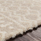 CARTER Shaggy Rug I Living Room, Bedroom I Modern Boho Area Rug, Soft Fluffy Rug, Plush Pile, Large Thick Rug, Easy Care I Ivory, Beige