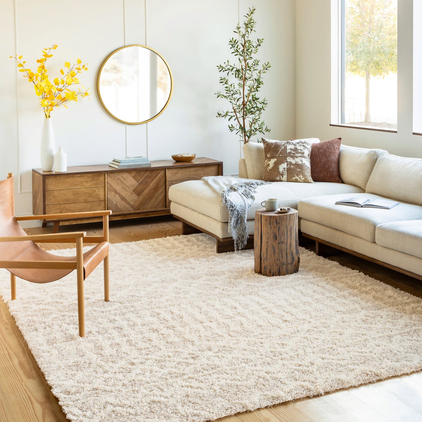 CARTER Shaggy Rug I Living Room, Bedroom I Modern Boho Area Rug, Soft Fluffy Rug, Plush Pile, Large Thick Rug, Easy Care I Ivory, Beige