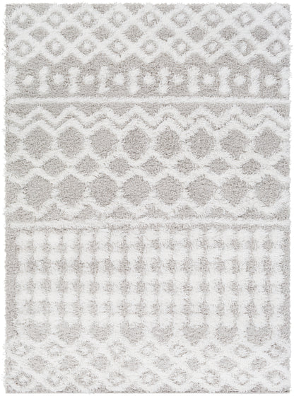 CARTER Shaggy Rug I Living Room, Bedroom I Modern Boho Area Rug, Soft Fluffy Rug, Plush Pile, Large Thick Rug, Easy Care I White, Grey