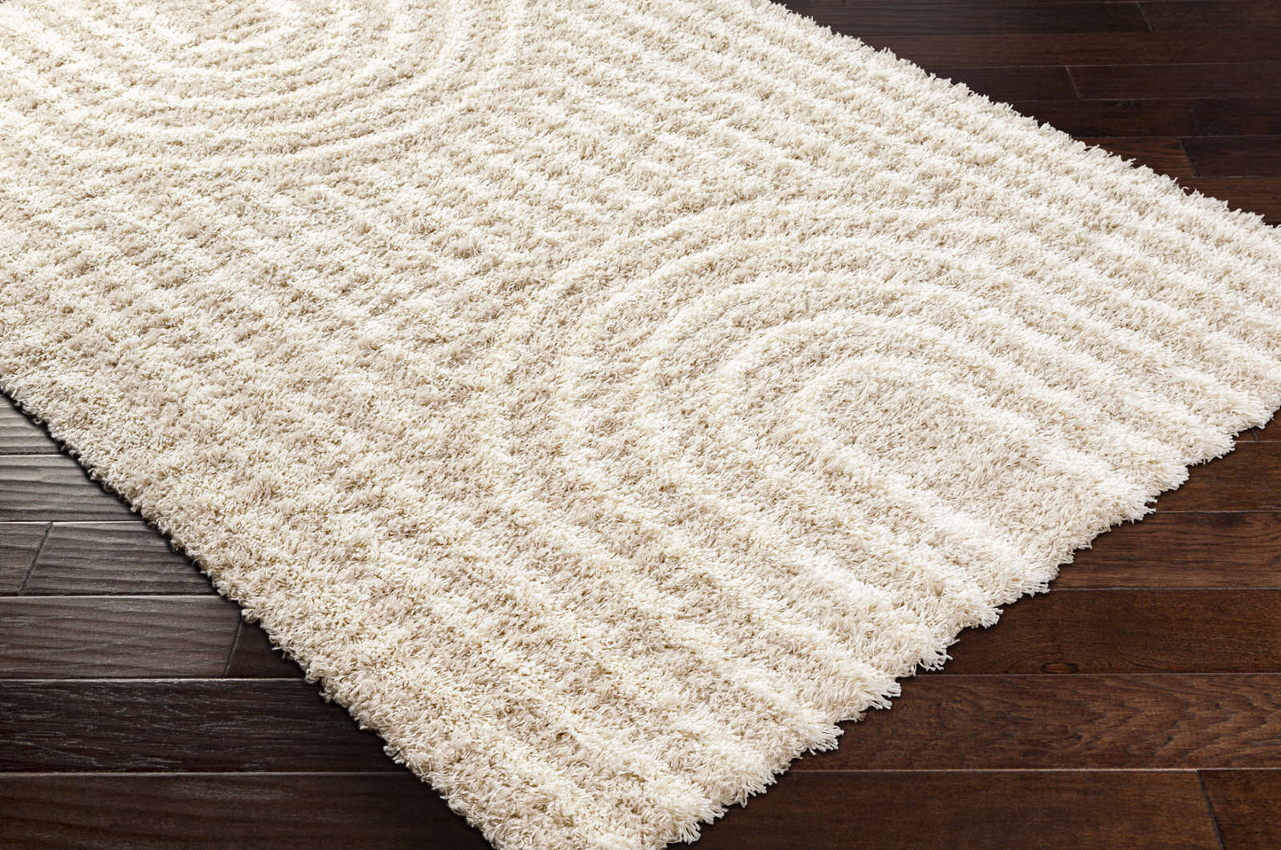 BLANCHARD Shaggy Modern Boho Soft Fluffy Thick Plush Pile Beige Area Rug