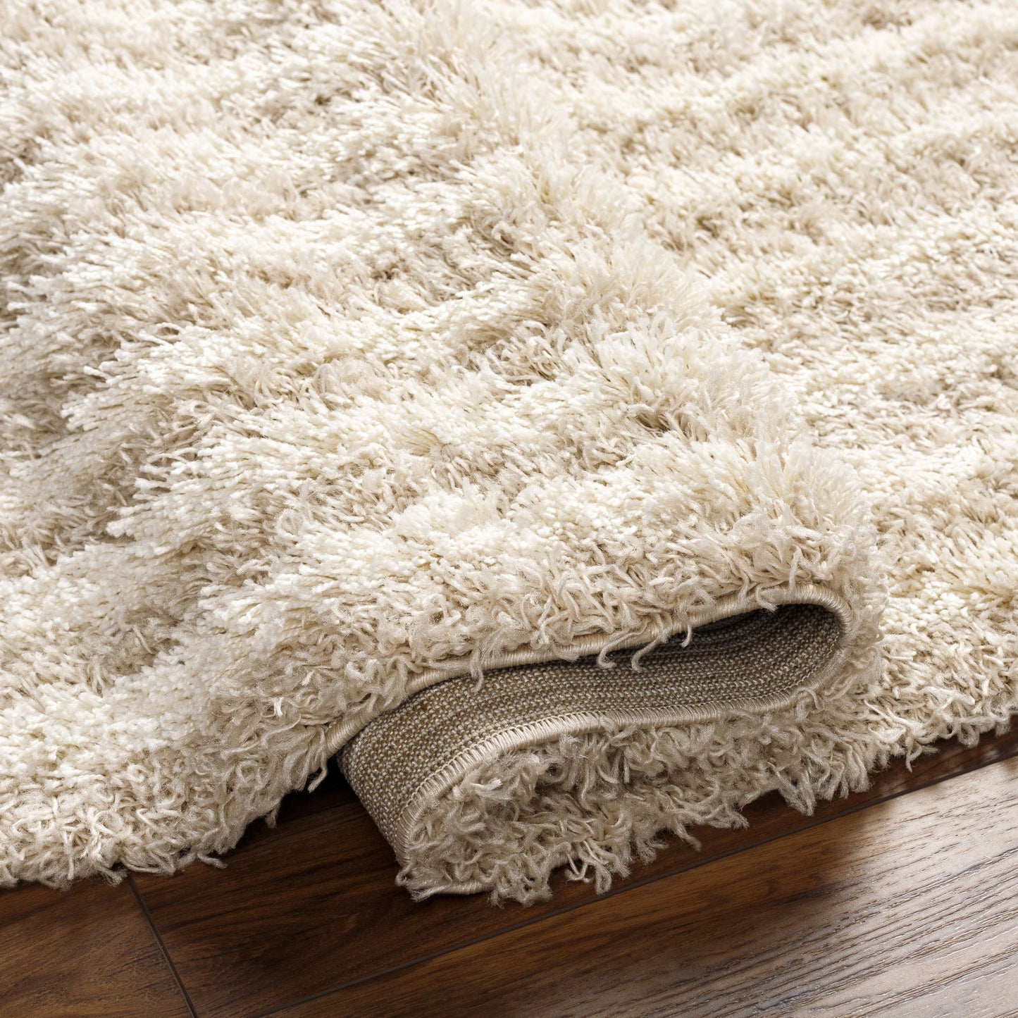 BLANCHARD Shaggy Modern Boho Soft Fluffy Thick Plush Pile Beige Area Rug