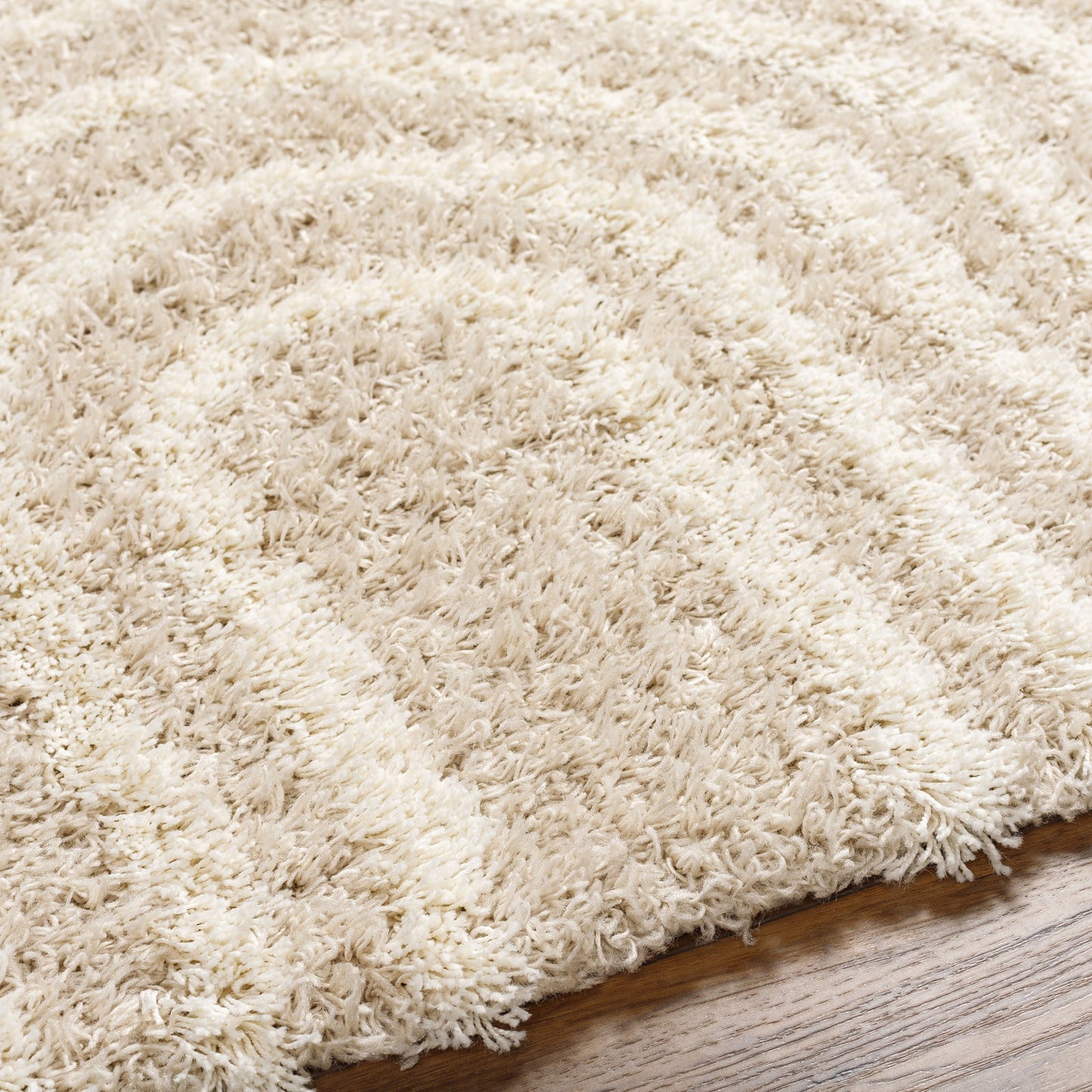 BLANCHARD Shaggy Modern Boho Soft Fluffy Thick Plush Pile Beige Area Rug