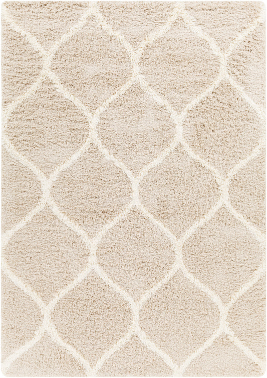 BLOCKTON Shaggy Modern Boho Soft Fluffy Thick Plush Pile Beige Area Rug