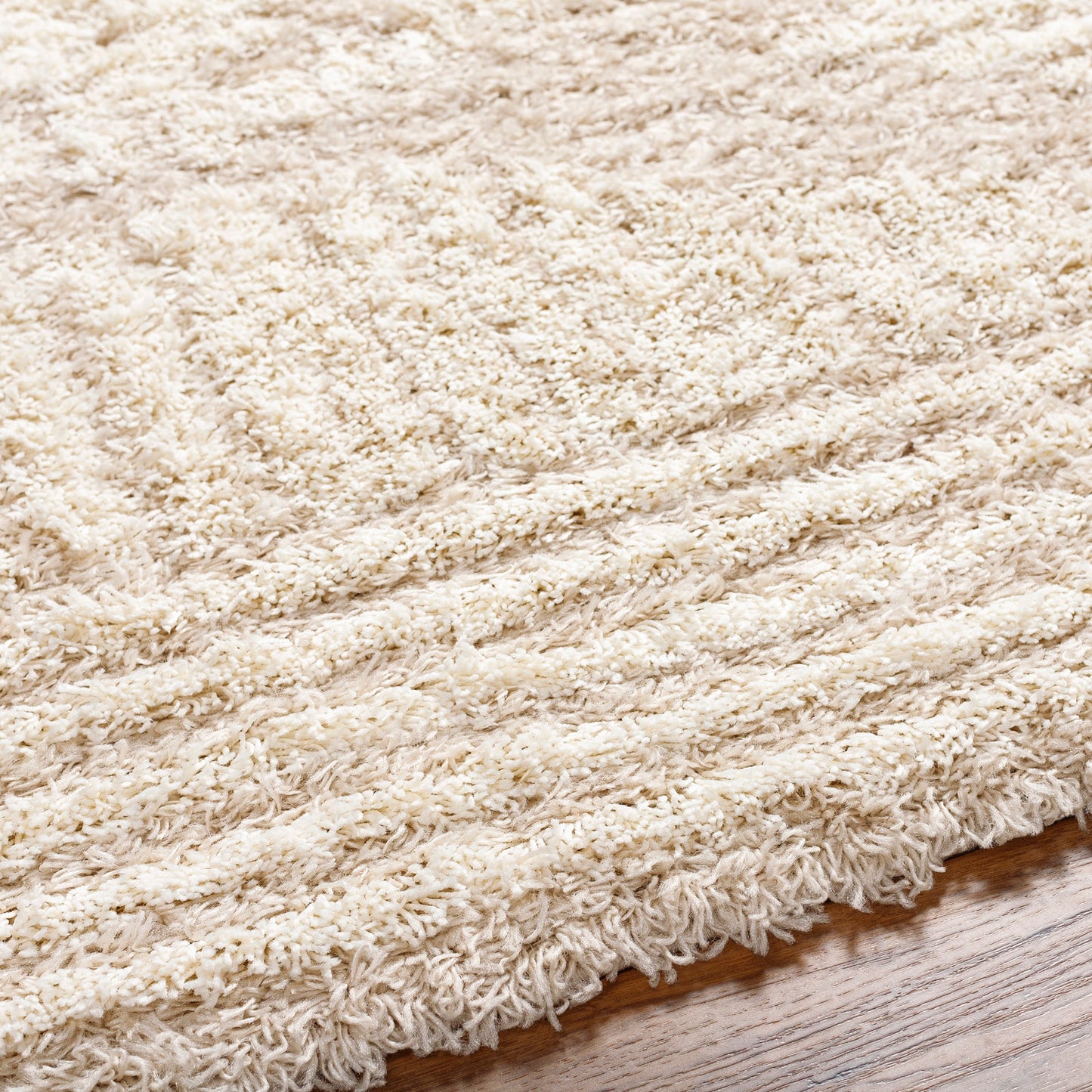 BONAPARTE Shaggy Modern Boho Soft Fluffy Thick Plush Pile Light Beige Area Rug